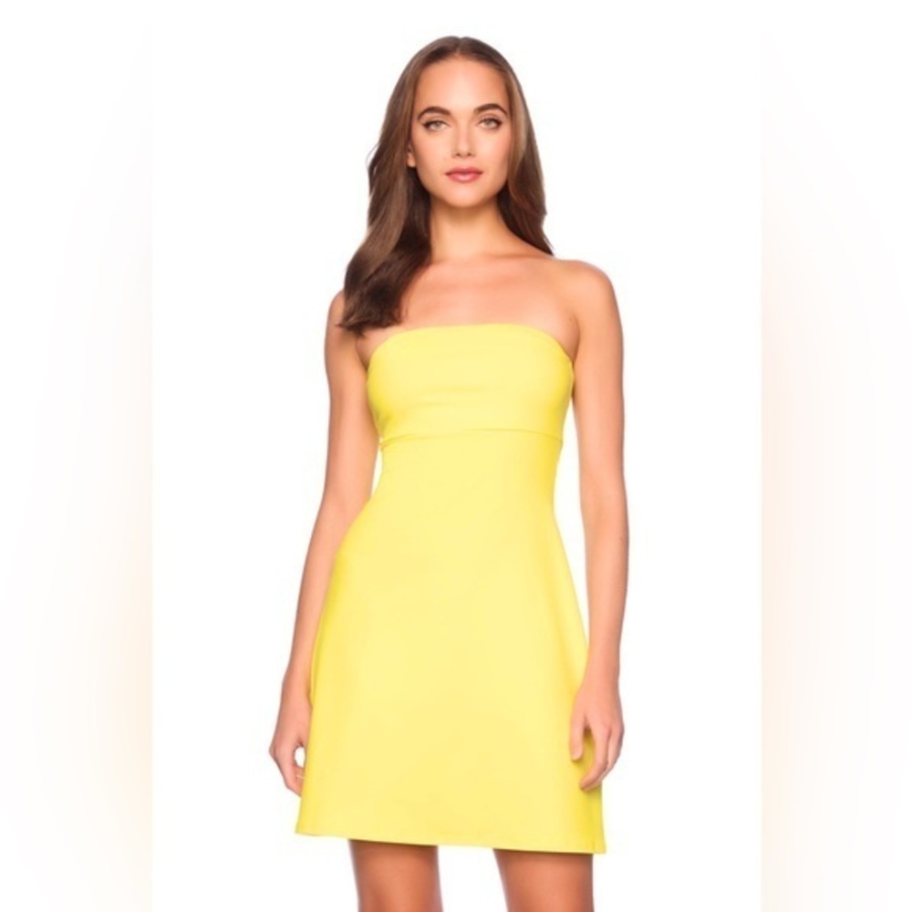SUSANA MONACO TUBE FLARE DRESS